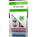 Subbuteo Andrew Table soccer Wolfsburg 2013-14 on WSB Professional Bases